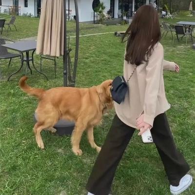 叱咤风流